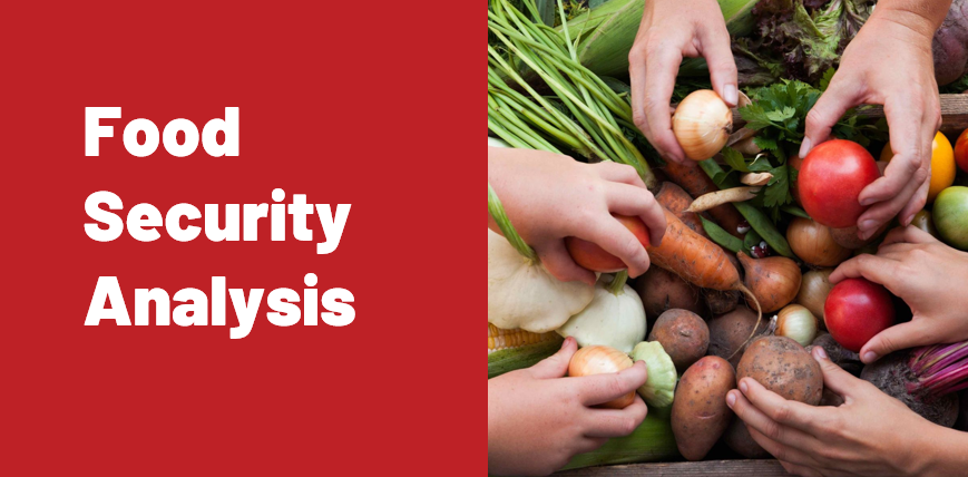 Food Security Analysis FSA_101_V1